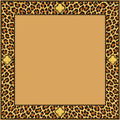 SPOTS & DOTS